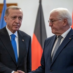Mit betretenen Gesichtern schütten sich der türkische Präsident Recep Tayyip Erdogan und Bundespräsident Frank-Walter Steinmeier die Hand.