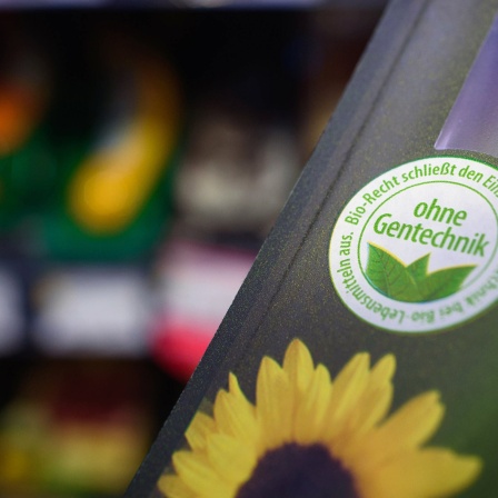 Das Siegel «ohne Gentechnik» ist auf einer Packung Wiener Würstchen in einem Bio-Supermarkt vor einem Regal Wurstwaren zu sehen.