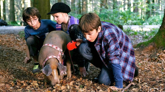 Tiere Bis Unters Dach - Trüffelschweine (s03/e10)