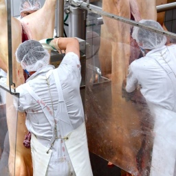 Das Beitragsbild des WDR5 Dok5 "Nach der Arbeit hängen die Kleider ihre Menschen auf" zeigt Arbeiter in einem Schlachtbetrieb, die Schweinehälften zerteilen.