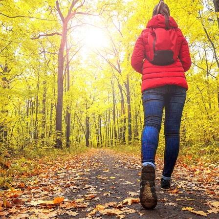 Frau wandert im herbstlichen Wald. 