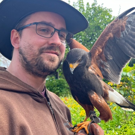 Pascal Schepers von der Falknerei mit Wüstenbussard Jerry