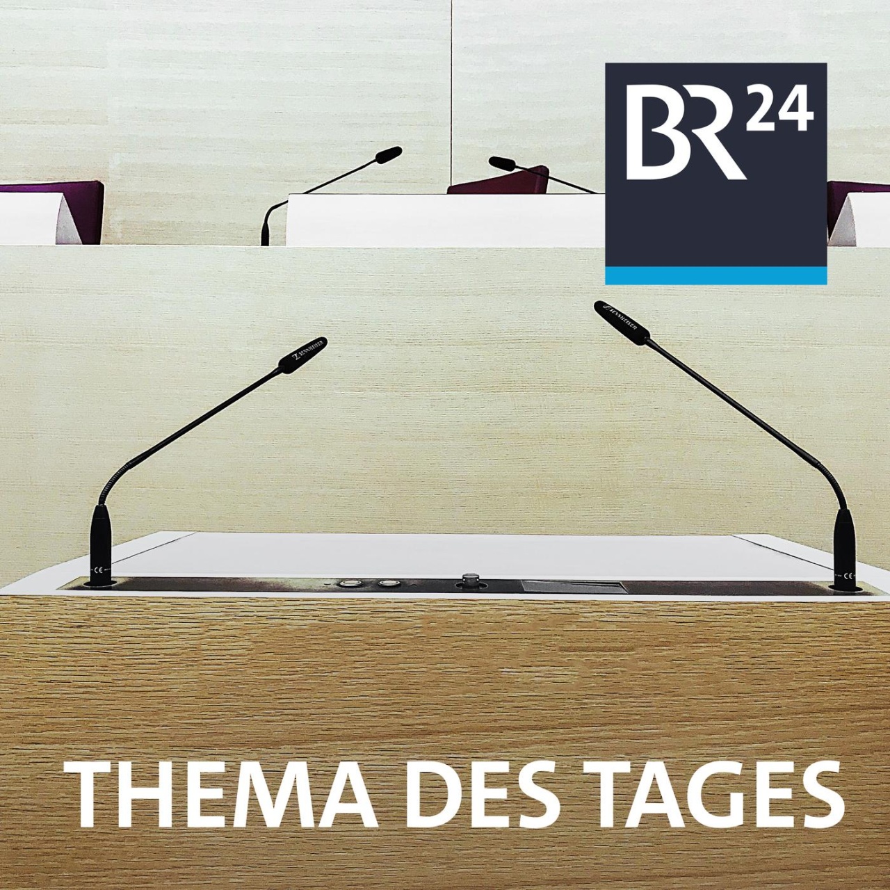 BR24 Thema des Tages · Reaktion auf Uiguren-Recherche · Podcast in der ...