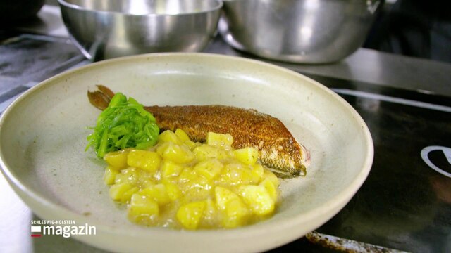 Gebratener Flussbarsch mit Kartoffelsalat auf einem Teller angerichtet.