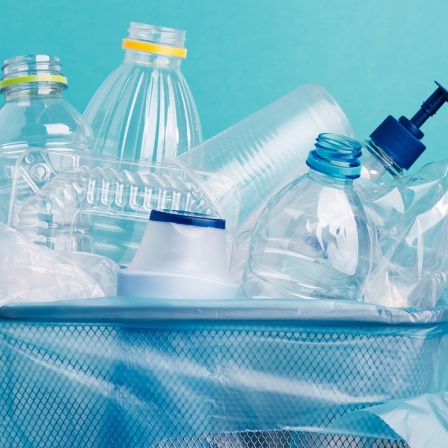 Ein Papierkorb gefüllt mit Plastikverpakungen- und Flaschen.