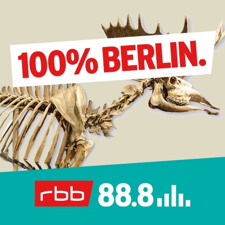 Elch vom Hansaplatz (Staatliche Museen zu Berlin, Museum für Vor- und Frühgeschichte, Foto: Claudia Plamp)