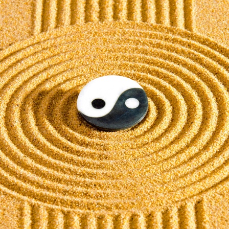Japanischer ZEN Garten mit Strukur in Sand und Yin Yang Stein