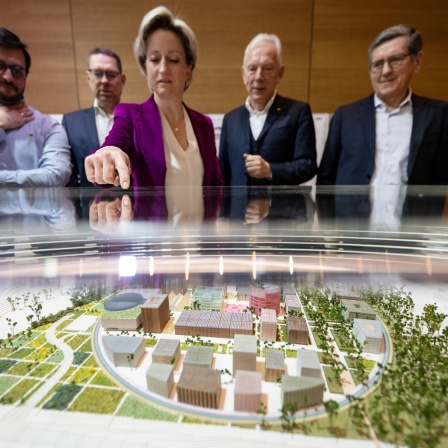 Das Gewinnermodell für einen KI-Park
