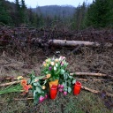 Blumen liegen am Fundort des getöteten Mädchens Luise