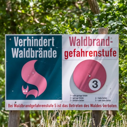 Warnschild am Waldesrand bei Doberschütz. Achtung Waldbrandgefahr.
