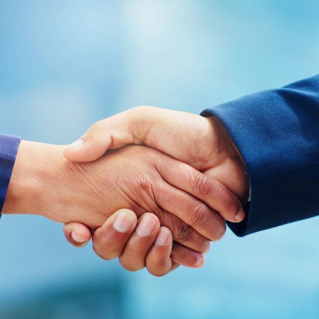 Shaking hands. Symbolfoto
