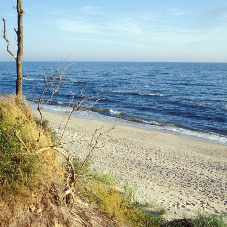 Ostseeküste bei Kolobrzeg