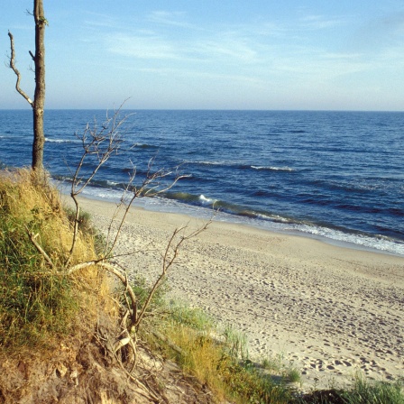 Ostseeküste bei Kolobrzeg