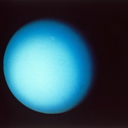 Zwei nachbearbeitete Bilder vom Planeten Uranus, die die Sonde "Voyager 2" 1980 aufgenommen hat.
