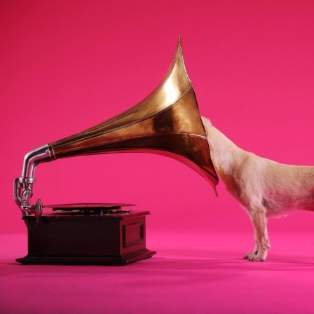 Ein Hund steckt seinen Kopf in ein Grammophon.
