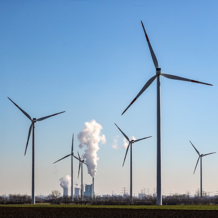 Der Schornstein und die Kühltürme des Braunkohlekraftwerks Schkopau dampfen hinter einem Windpark.