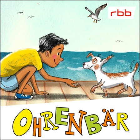 Bunte Zeichnung: ein Junge am Meer, hockt und streckt die Hand zu einem freundlichen Hund aus, am Himmel sind Möwen (Quelle: rbb/OHRENBÄR/Maja Bohn)