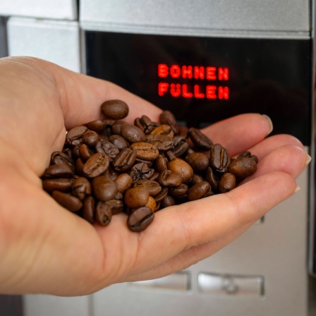 Kaffeebohnen in der Hand, Kaffeevollautomat mit Schrift "Bohnen Füllen"