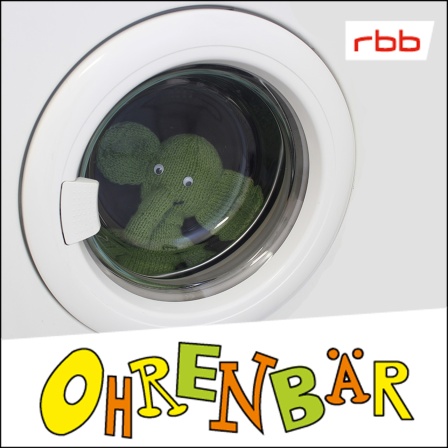 Ein grüner Elefant aus Stoff schaut aus einer echten Waschmaschine (Quelle: Antje Rittermann)