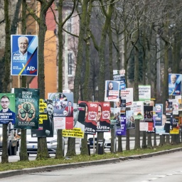 Wahlplakate zur Bundestagswahl 2025, BTW25. Wahlwerbung verschiedener Parteien an einer Straße in Heilbronn.