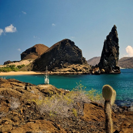 Streifzug über die Galapagosinseln