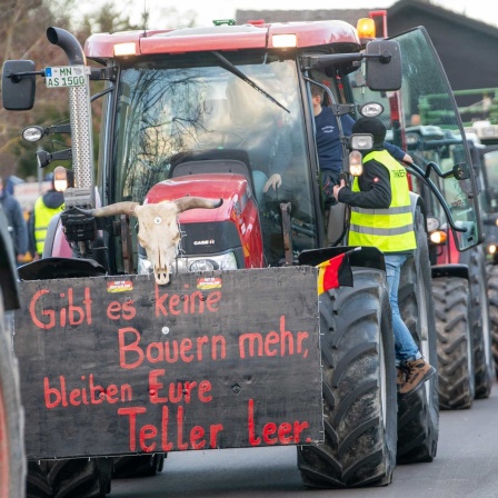 Landwirte nehmen mit ihren Treckern an einer Kundgebund Teil, auf einem Plakat steht "Gibt es keine Bauern mehr, bleiben eure Teller leer".