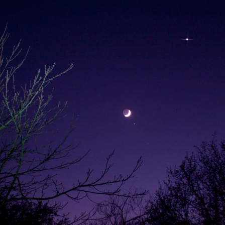 Violett scheinender Nachthimmel, auf dem der Mond und einige Sterne zu erkennen sind. Im Vordergrund dunkle Bäume.