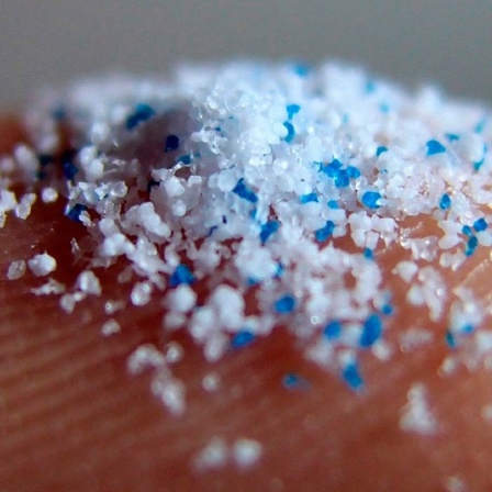 Mikroplastik aus Kosmetika auf einer Fingerkuppe