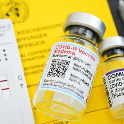 Impfausweis mit Impfspritze, positivem Corona-Schnelltest und Impfstofffläschchen von Biontech und Moderna (Bild: picture alliance / Bildagentur-online)