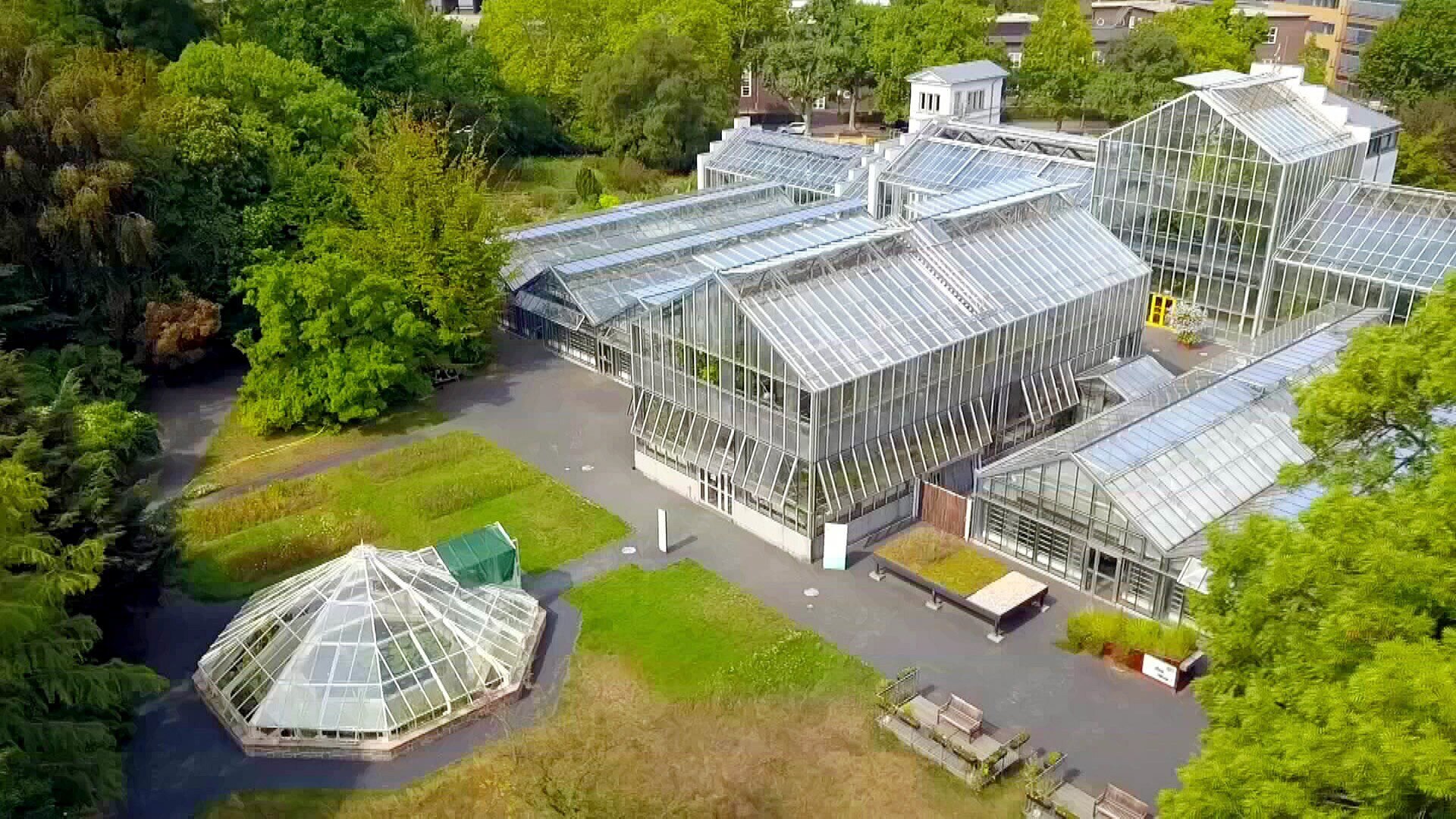 MDR Garten Botanischer Garten Leipzig Ort mit Geschichte ARD Mediathek