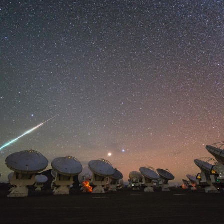 Meteorschweif am Sternenhimmel vor der Silhouette einer Teleskopanlage mit großer Radarschüssel.