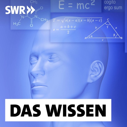 Die klassische Metaphysik behandelt grundlegende Fragen über die Welt.