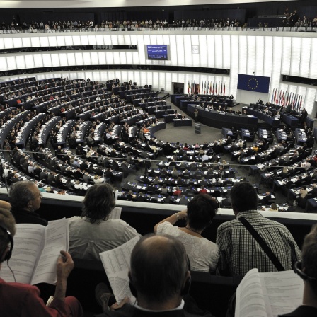 Blick ins EU-Parlament.
