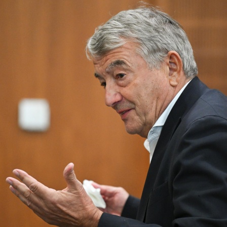 Der frühere DFB-Präsident Wolfgang Niersbach