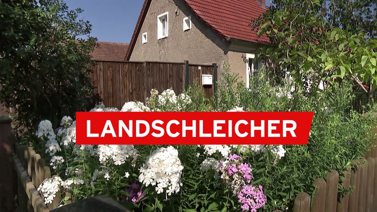 Rbb24 Brandenburg Aktuell: Lichtenberg | ARD Mediathek