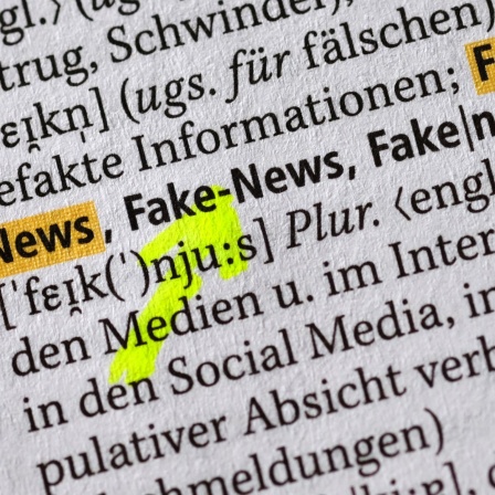 Fake-News, Fakenews oder Fake News?