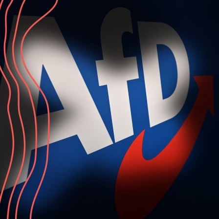 Verfassungsschutz: AfD ist gesichert
rechtsextremistisch.