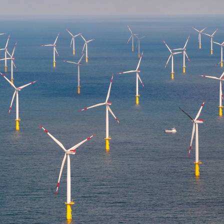 Symbolbild: Ein Windpark vor Sylt in der Nordsee 