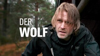 Der Wolf Dunkle Geschafte Ard Mediathek
