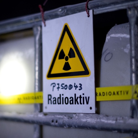 Ein Fass mit radioaktiv verseuchtem Wasser steht am 04.03.2014 in Remlingen (Niedersachsen) in einem Schacht des Atommüll-Lagers Asse. (Archivbild)