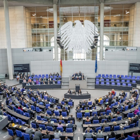 Die Befragung der Bundesregierung findet im Plenarsaal im Bundestag statt.