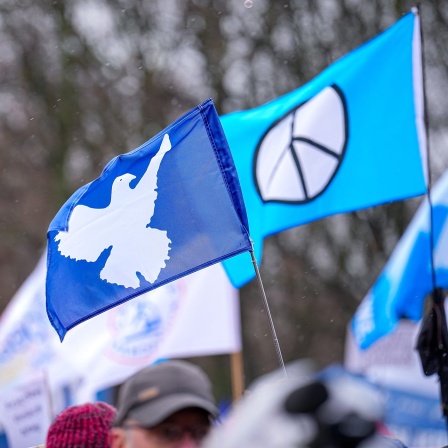 Archivbild: Demonstranten und Besucher einer Kundgebung schwenken Flaggen mit Friedenssymbolen (Bild: picture alliance / SULUPRESS.DE / Marc Vorwerk)