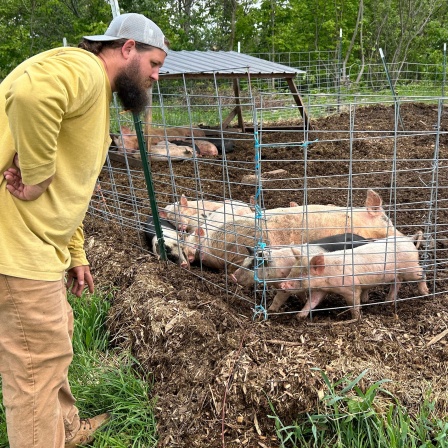 Kaleb Hanshew und seine Schweine aus der High Wall-Farm