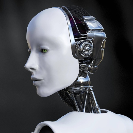 Roboter schaut traurig: Computer erkennen Gefühle, können aber keine Depression, Schizophrenie oder psychosomatischen Symptome ausbilden