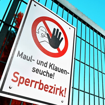 Schild mit Aufschrift "Maul- und Klauenseuche! Sperrbezirk!"