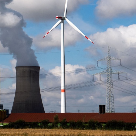 Windräder stehen am Kohlekraftwerk Mehrum im Landkreis Peine.