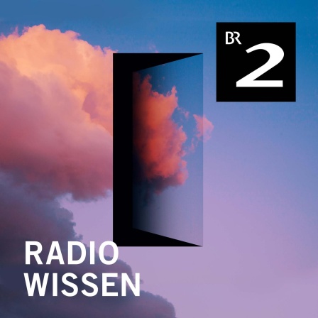 Druiden - Die Herrscher der Weisheit?