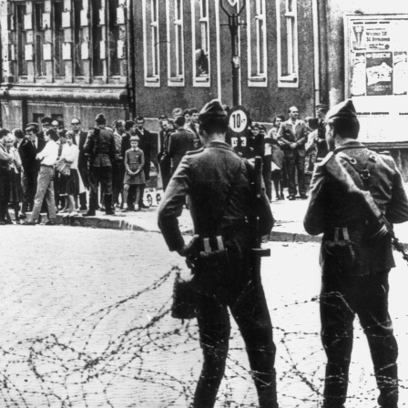 Mauerbau: Erste Absperrungen mit Stacheldraht am 14. August 1961 in Berlin