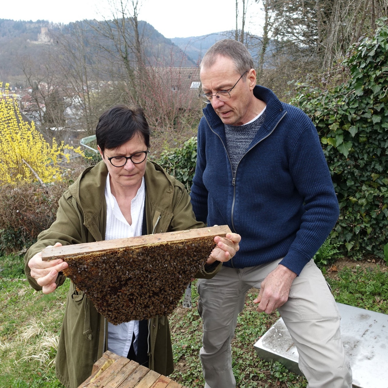 Leben · Der besondere Blick auf die Natur - Was wir von Imkern lernen ...