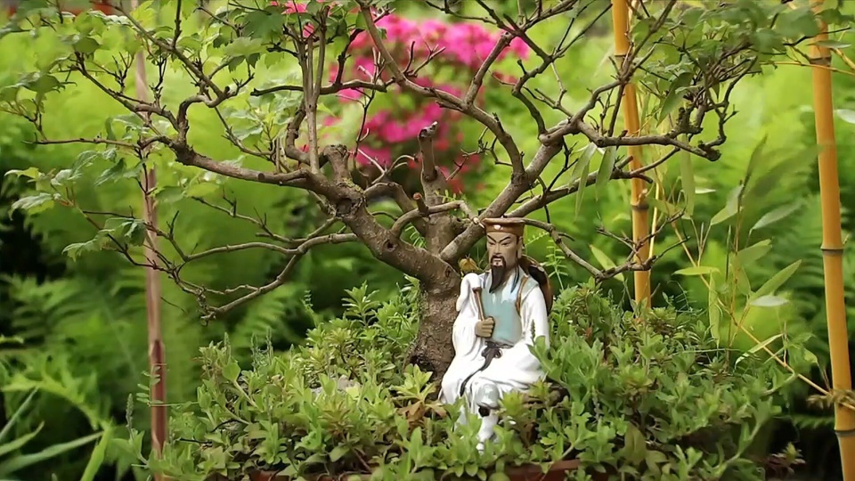 Kleine Bonsaibume - groer Traum